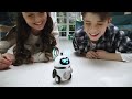 🤖 Robot För Barn. 🤖 Spana In Roliga Leksaker Från Silverlit. Follow Me Droid