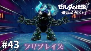ゼルダの伝説 知恵のかりもの #43【フレイザードさん的なネーミングセンス】