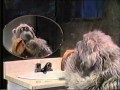 Canadian Sesame Street Rules Of Being Hip