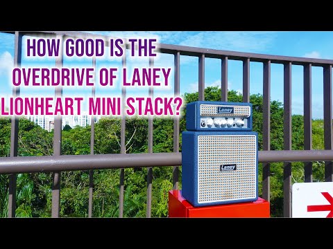 Laney Amplification MINISTACK-LION | Outdoor Recording | #overdrive
