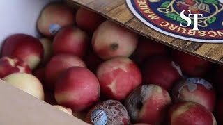 Finding beauty in ugly food | Food Rescue Sengkang | Live more, waste less