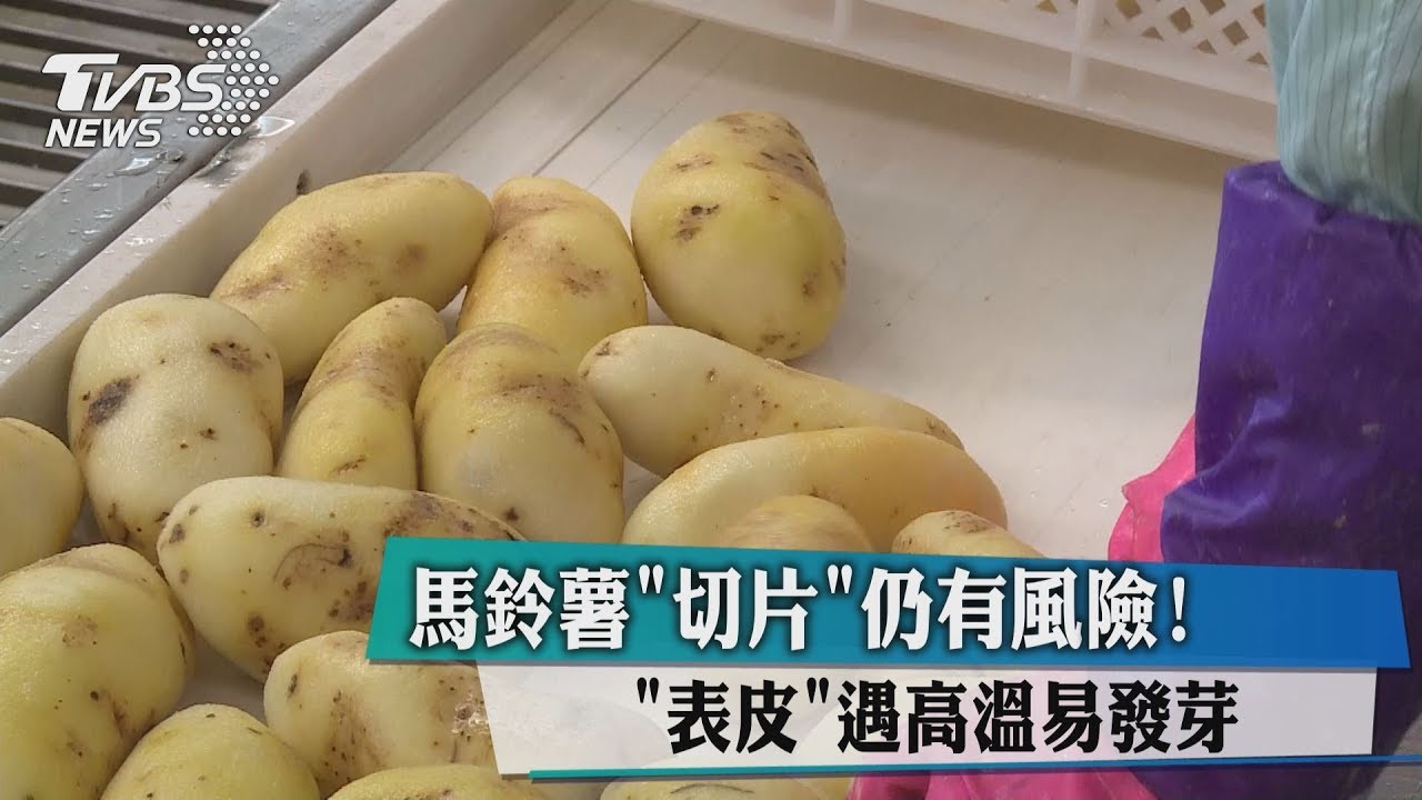 馬鈴薯「切片」仍有風險! 「表皮」遇高溫易發芽