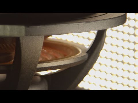 SoundStage Shorts – Rockport Calibration