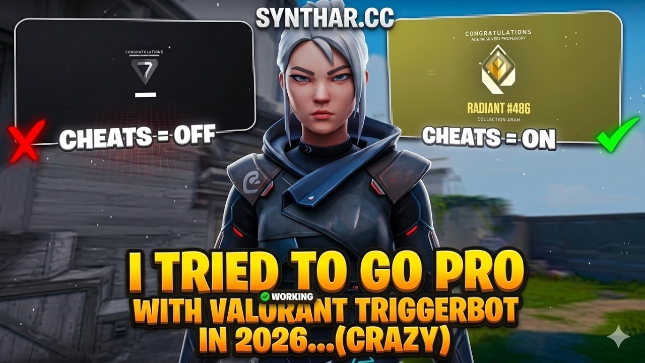 I Tried To Go Pro With Valorant Triggerbot In 2026...(CRAZY)