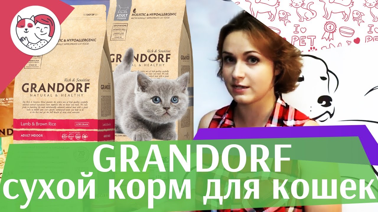 Grandorf сухой корм для кошек на ilikepet