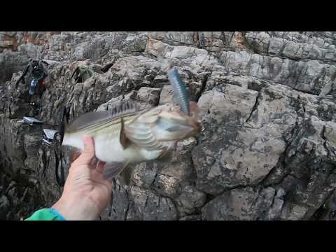 Воблеры DUO Spearhead Ryuki 95S WT