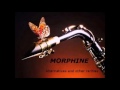 Morphine - Pulled Over the Car