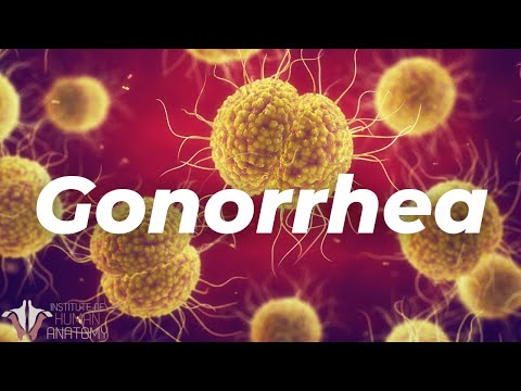 What Gonorrhea Does to Your Body