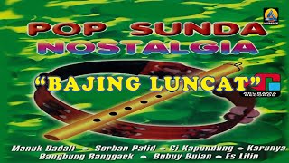 Download lagu Pop Sunda Nostalgia - Bajing Luncat (Karaoke) mp3 Download lagu Pop Sunda Nostalgia - Bajing Luncat (Karaoke) mp3
