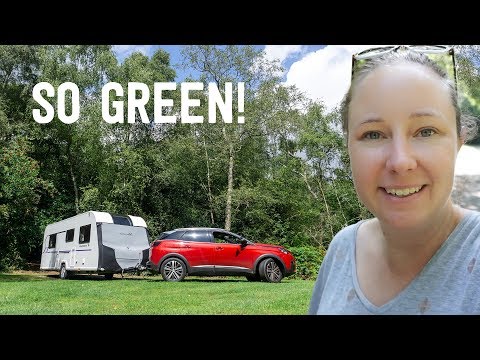 Private Pitches In UK Forest 🌱Petworth To New Forest