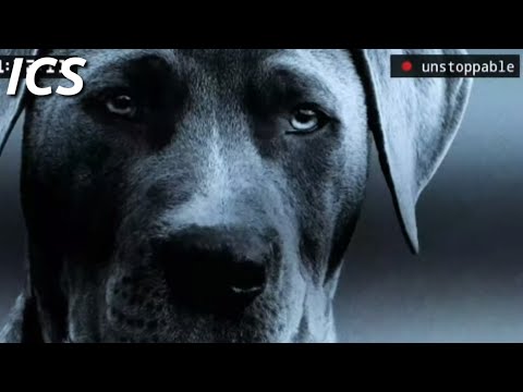 Mike Floss | Unstoppable