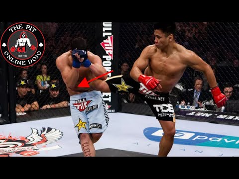 What Is A Back Kick For?