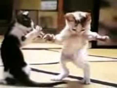 Hahahahahahahqhahahahahahahqgq