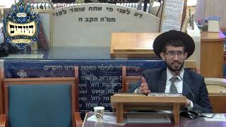 הרב נדב שריפי | מעלת התפילה | יזדים (בית הכנסת מוסאיוף) - התמונה מוצגת ישירות מתוך אתר האינטרנט יוטיוב. זכויות היוצרים בתמונה שייכות ליוצרה. קישור קרדיט למקור התוכן נמצא בתוך דף הסרטון