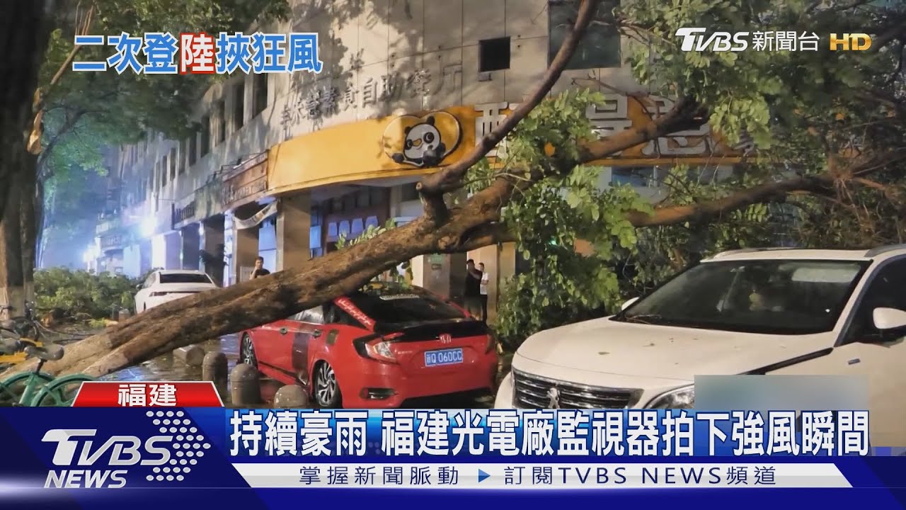 廈門樹折腰!楊柳颱風急行軍 福建「鏡頭君」拍下登陸強陣風