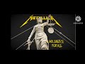 Metallica Eye Of The Beholder Edit Vocal Cover