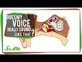 Does My Voice Really Sound Like That? 