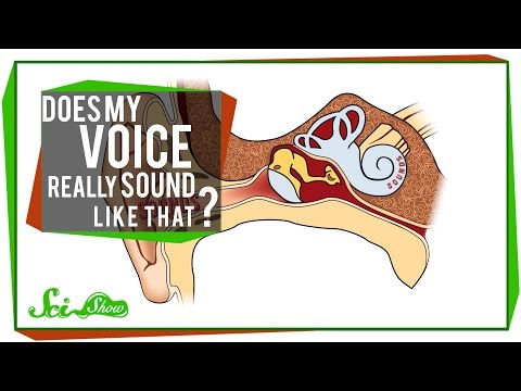 Does My Voice Really Sound Like That?