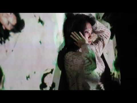 Schneider TM / Tomoko Nakasato / Takehito Koganezawa - live at Manami's 311 FUKUSHIMA (complete)