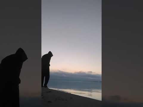 #рекомендации #лайк #denok #топ #butifyoucloseyoureyes #фонкдлябега #music #shortvideo #подпишись