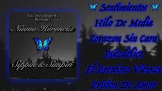 Psicodélica -Nueva Herencia (Cover)