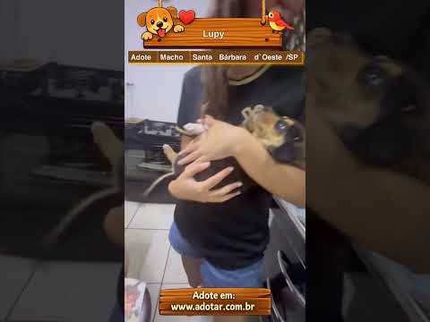 Vídeo de Lupy