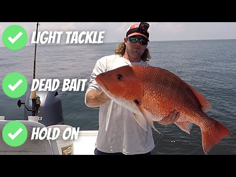 Using LIGHT TACKLE For BIGGER SNAPPER