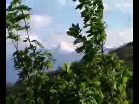 VENITE ACCLAMIAMO AL SIGNORE