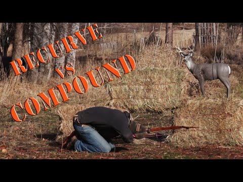 Can a RECURVE Bow beat a COMPOUND Bow?