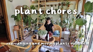 PLANT CHORES | rearranging the plant room & bringing more plants outside