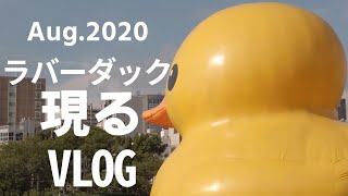 【VLOG】大阪にラバーダック現る