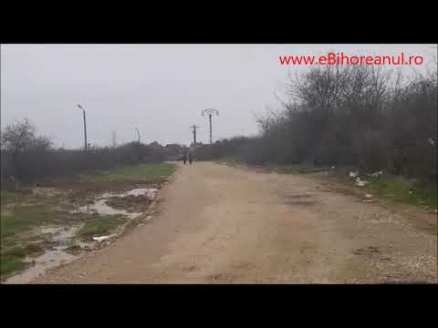 eBihoreanul.ro: În comuna Sânmartin, gunoaiele tronează chiar lângă reclamele proiectelor