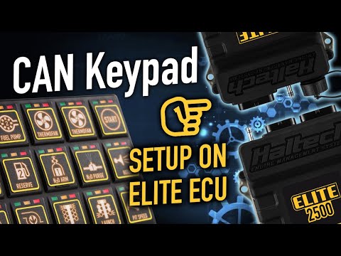 🛠 How to set up a CAN Keypad with Elite ECU | TECHNICALLY SPEAKING