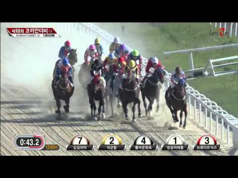Korean Derby 2015 - Yeongcheon Ace