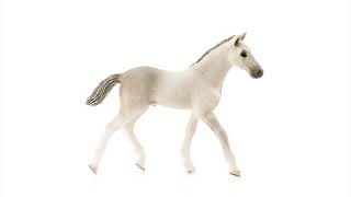 Schleich Holštajnske žriebä
