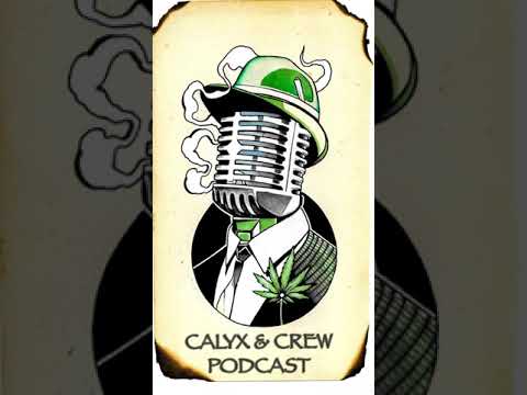 Meet the Breeder - Swami Organic Seed