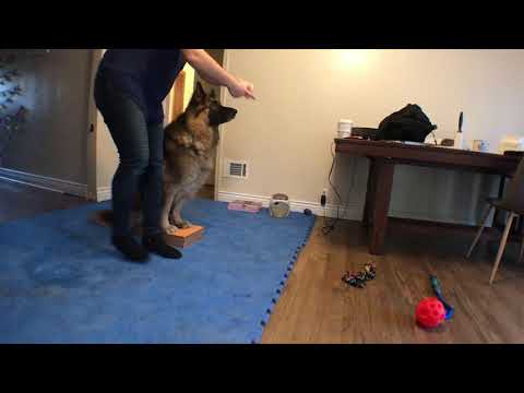 2020 0223 Sit Platform - heel