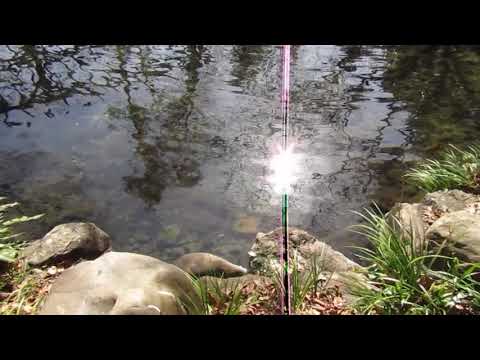 二宮神社(東京都あきる野市)、国常立尊とアラハバキ神の国造りが始まる - アセンション・光のメッセージ