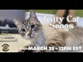 KITTY CAT SONGS | SEASON 8.12