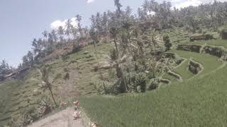 preview picture of video 'Indonesia / Bali / Tegallalang Rice Terrace / 2018 / GoPro / part3'