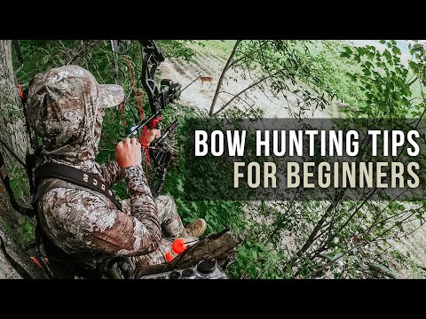 Bow Hunting Tips for Beginners