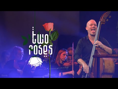 Avishai Cohen - Two Roses (Album Trailer)