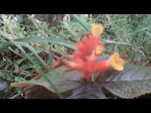 6ft Man in 6ft Giant Water Balloon - 4K - The Slow Mo Guys