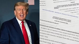 Charges levelled against Donald Trump 'are not going to hold'