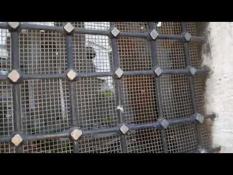 Kubur Istanbul -(25.4.19)