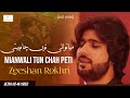 Mianwali Tun Cha Peti Official Video Zeeshan Khan Rokhri New Song Rokhri Production
