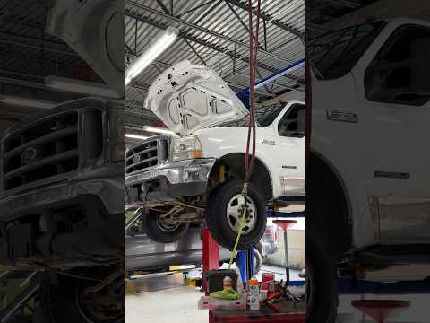 Transmission and transfer case leaks. Sometimes you gotta be curious and look a little further