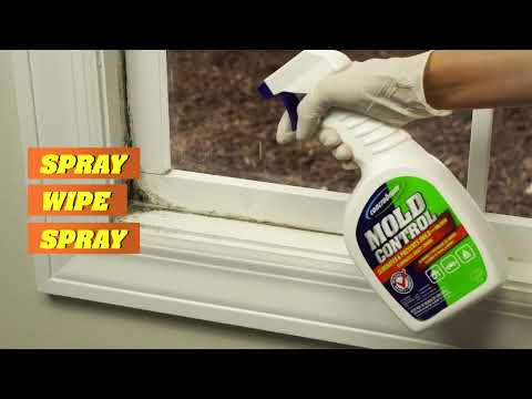 Eliminate Mold and Mildew With Concrobium Mold Control