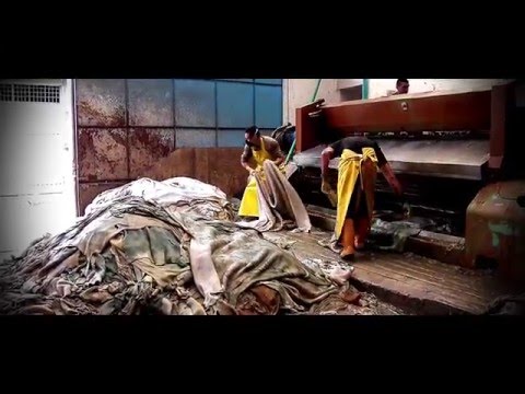Documentary: Tanneries of San Benito - Bogotá