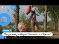 Mensen schieten op eikenprocessierupsen